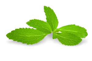 stevia-plant-leaves